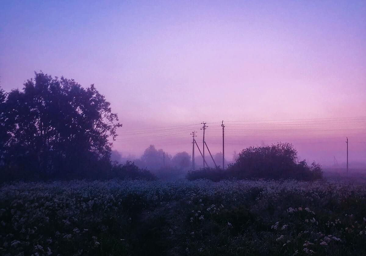 WBG拿下小龙反超经济,Xiaohu击杀Wei顺势拿下超神