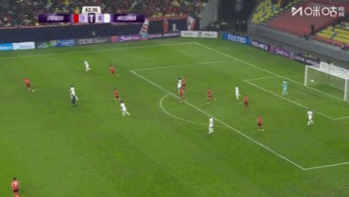 1764115370331023429.gif 1764115370331023429.gif