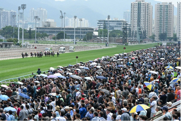 开云登录入口-连续三年入选香港盛事年表，这场赛马活动为什么能持续火爆|富卫保险|香港赛马会|赛马会|体育|比赛_新浪体育_新浪新闻